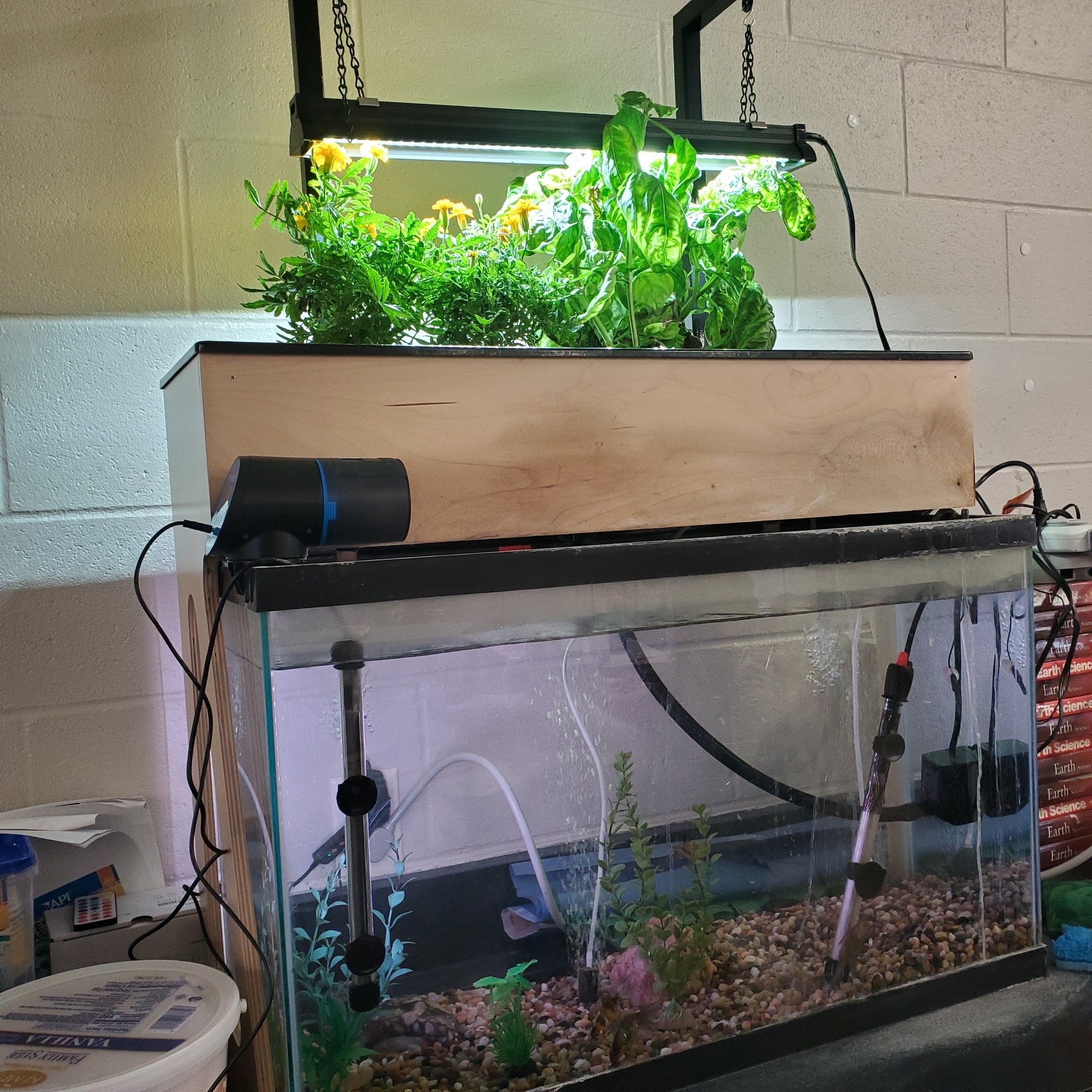 565624917_1122077390106920_2096208021539318903_n.jpg