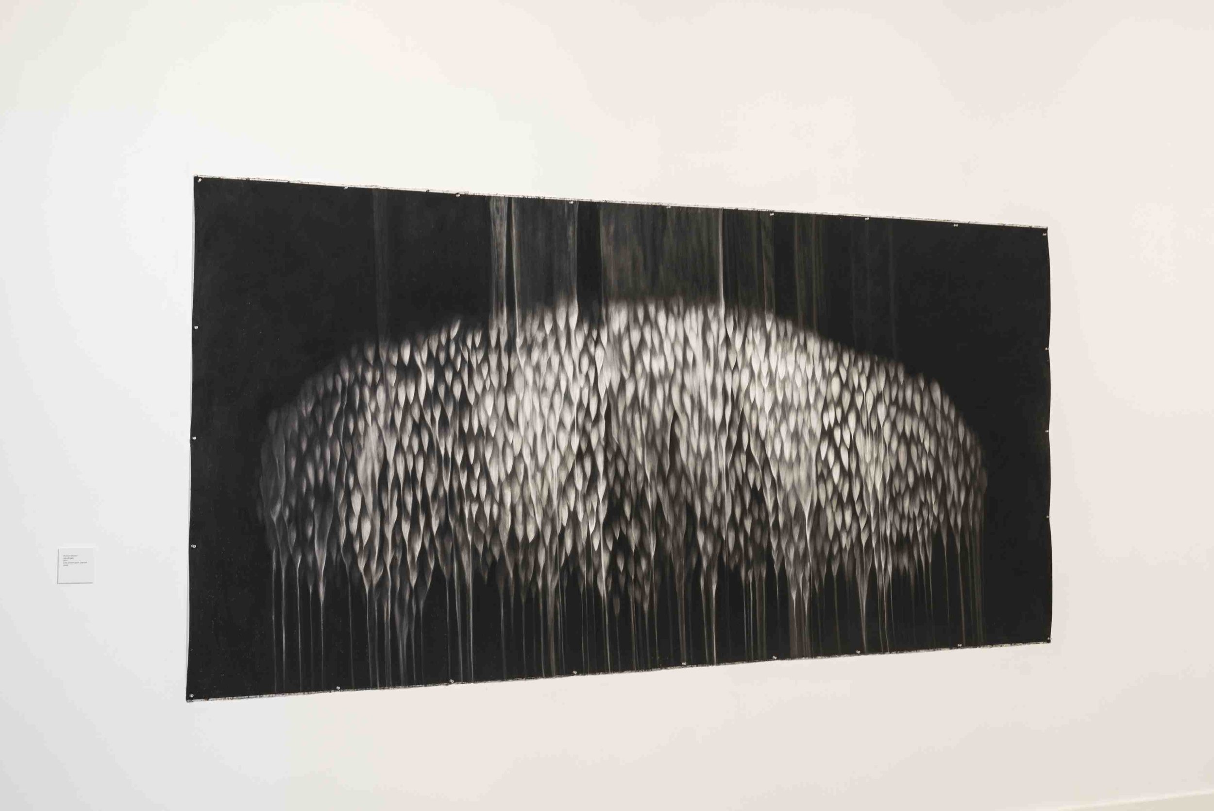 The Veil of Tears. Charcoal and pastel on paper, 3m x 1.5m