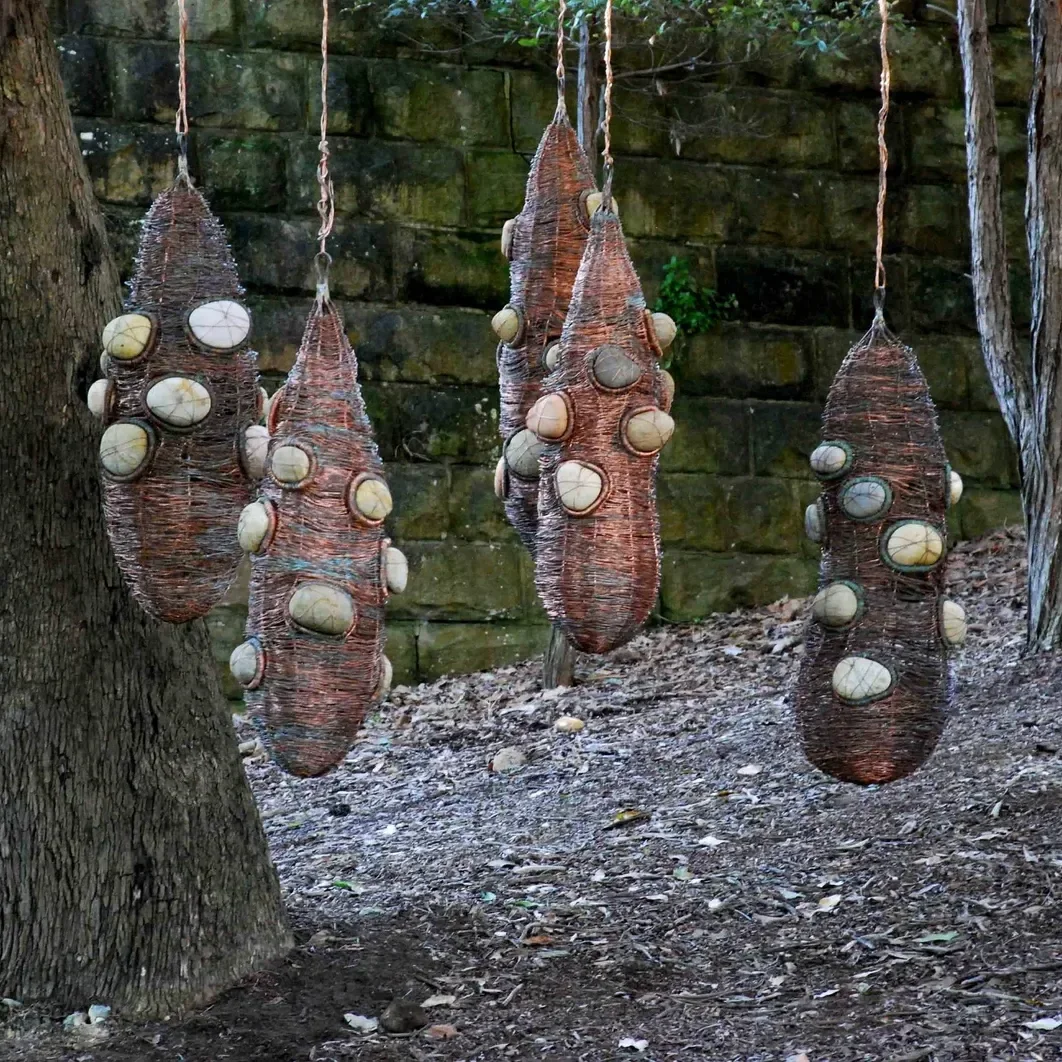 'Banksia Women'