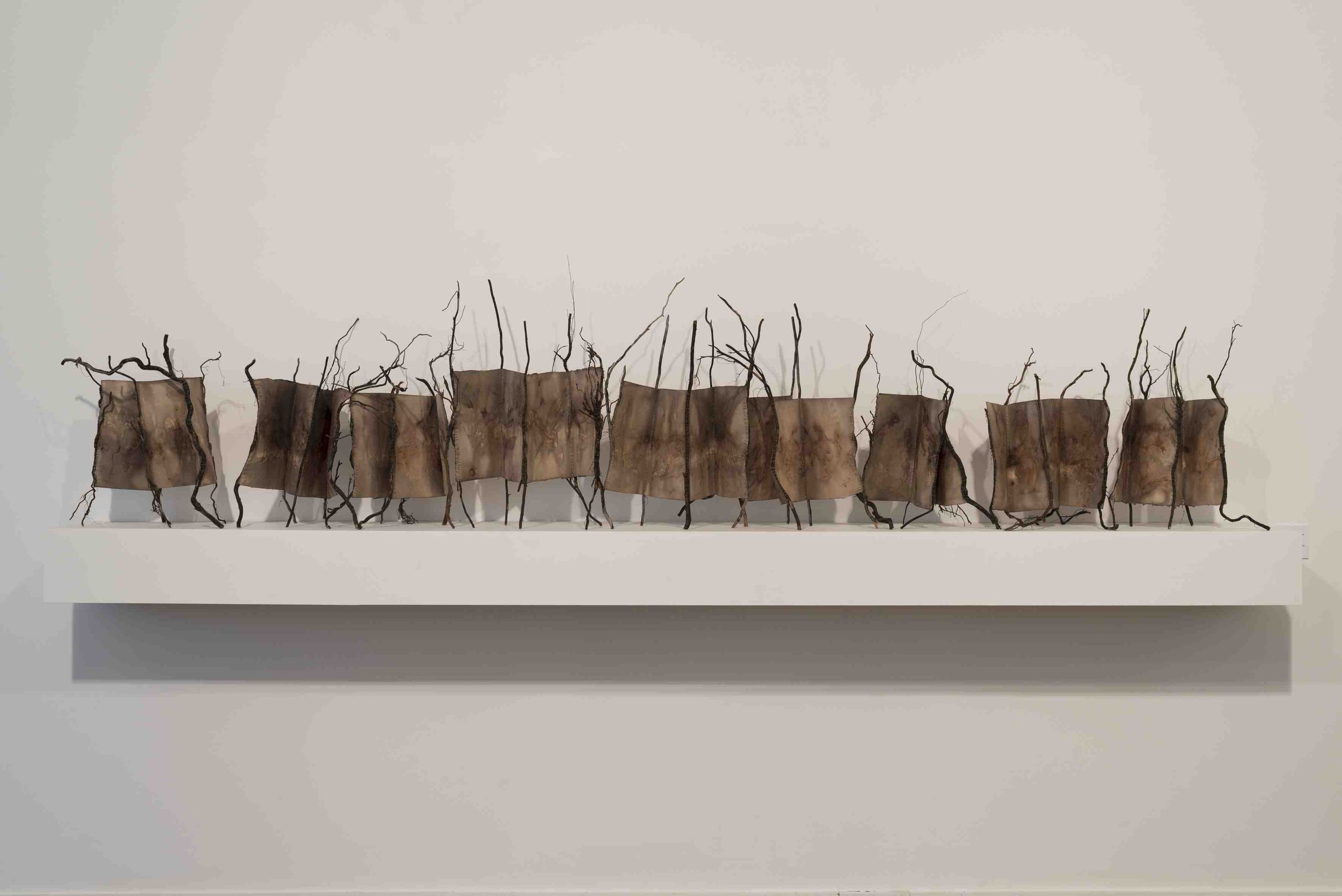 'You and I have floated on the stream'
Dimensions (variable) 3000 (L) x 300 (D) x 60(H)mm each element approx 600 x 400 x 360mm. Materials: Canson 400gsm paper, casurina roots, waxed Irish linen thread. Paper contact printed with gum leaves, Cilitru