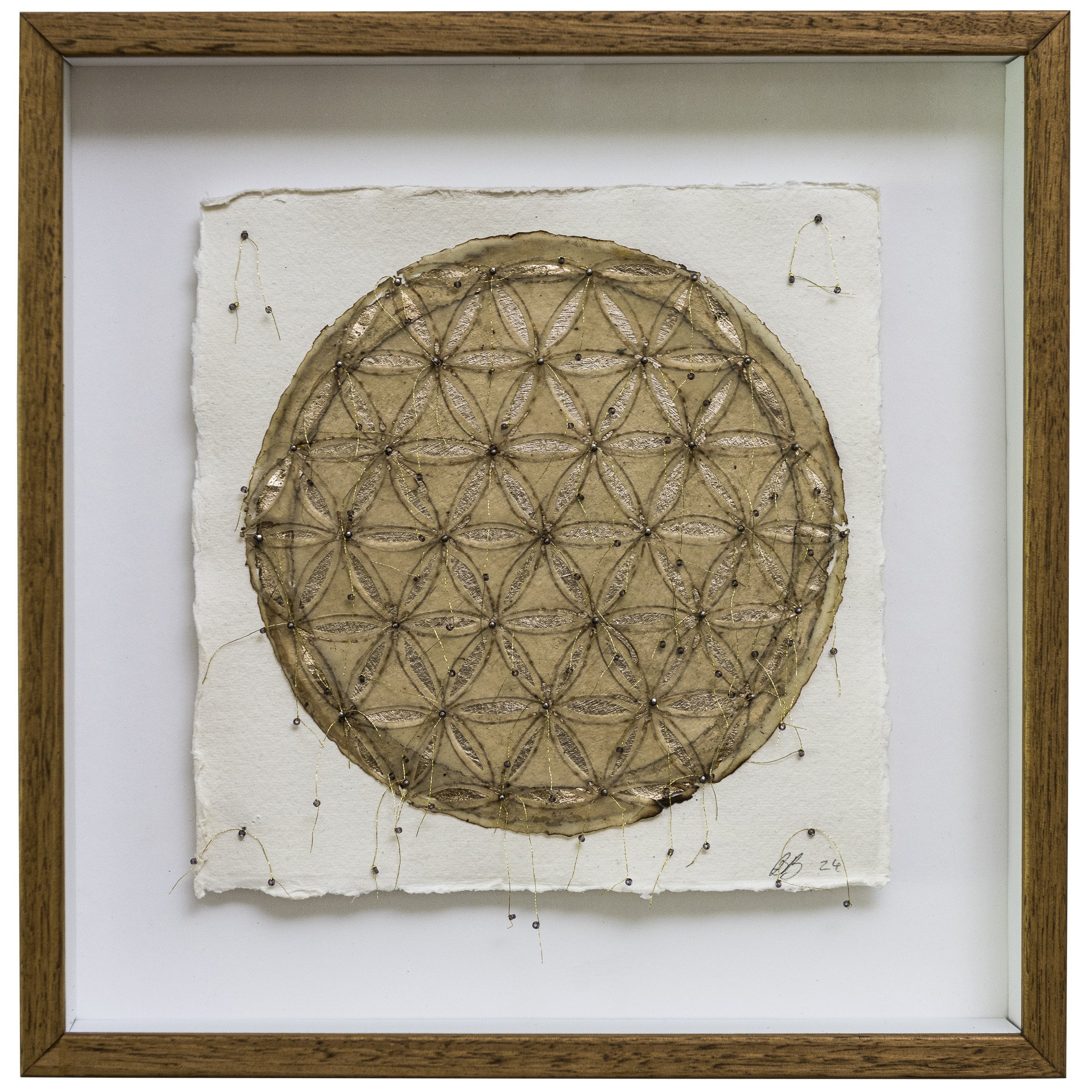 Tomorrow is Today's Dream