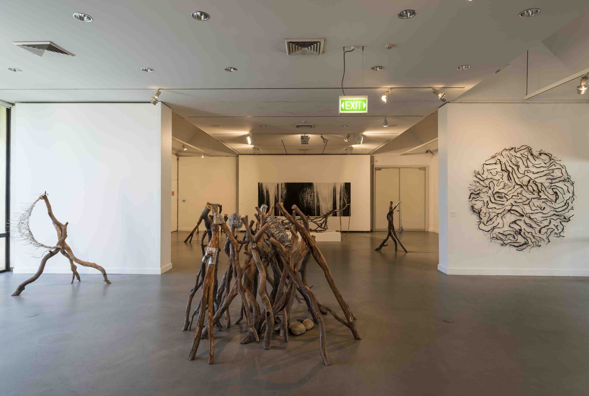 'Tide Lines', river red gum, aluminium wire. Dimensions variable.