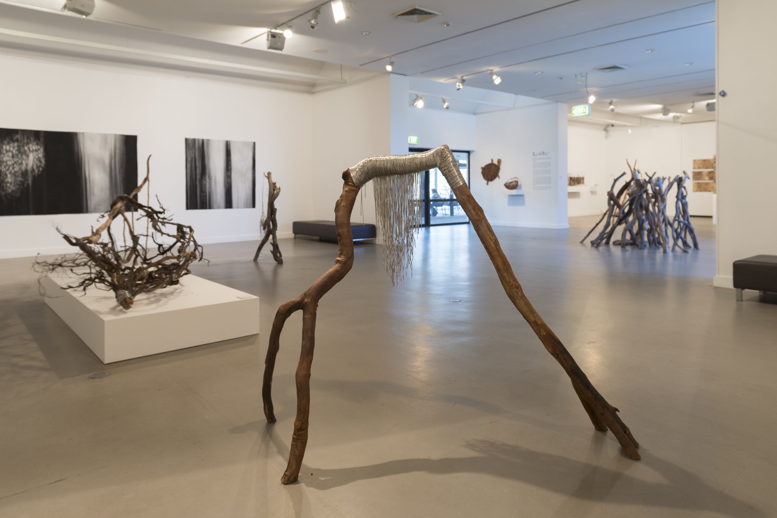 Gallery View