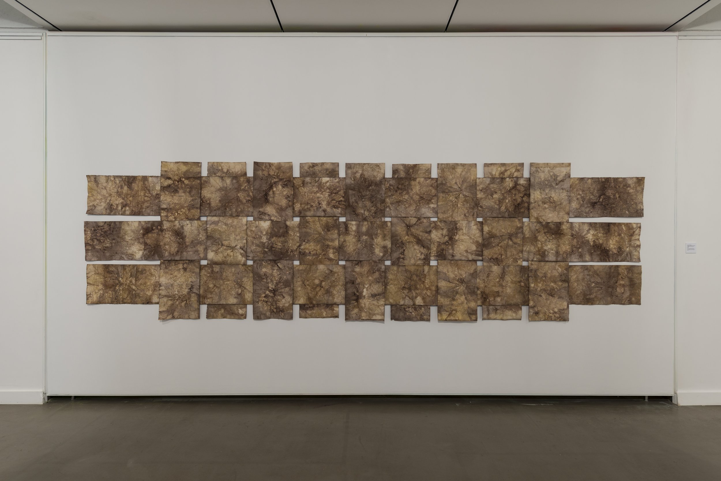 Woven Landscapes: Time is the Substance from Which I am Made. Paper, contact print with vegetation from the Nepean and Lachlan Rivers, stitched in place with symbols from the Iching. 5.5m x 1.5m