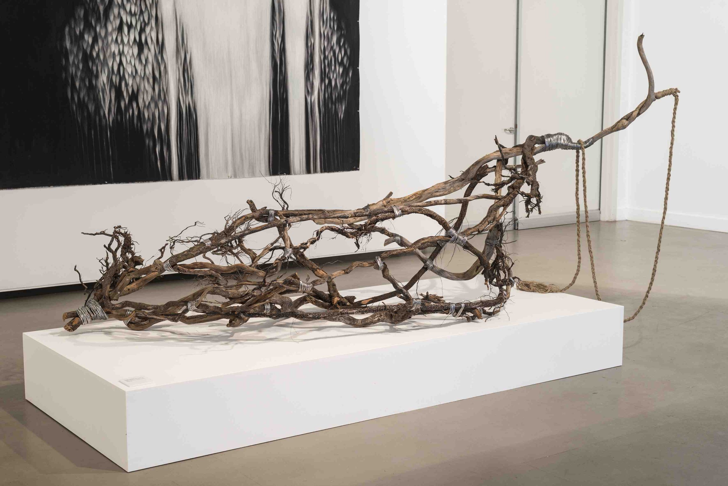 A Way from the River to the Sea. Casurina Root, Aluminium Wire.