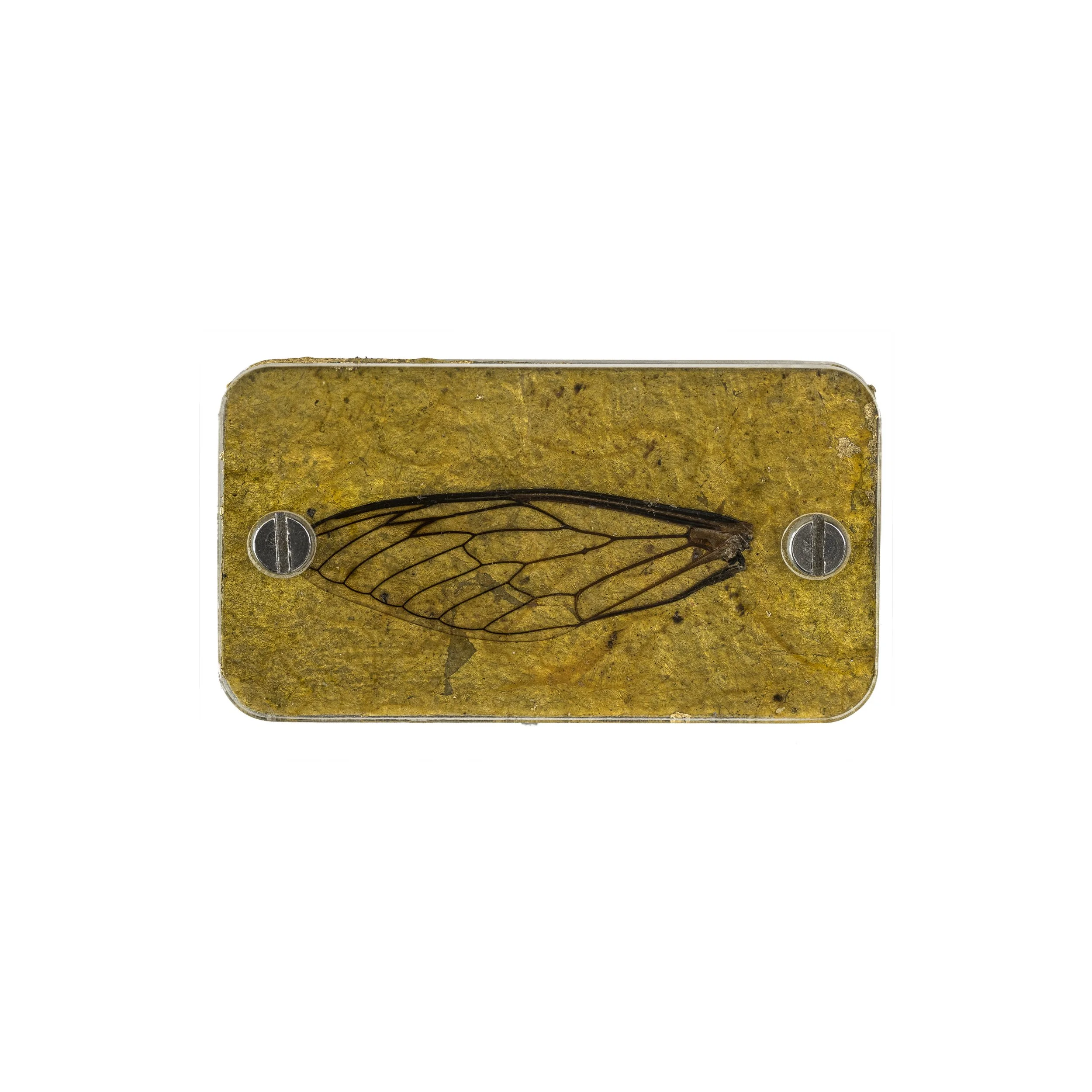 Brooch rectangle 03