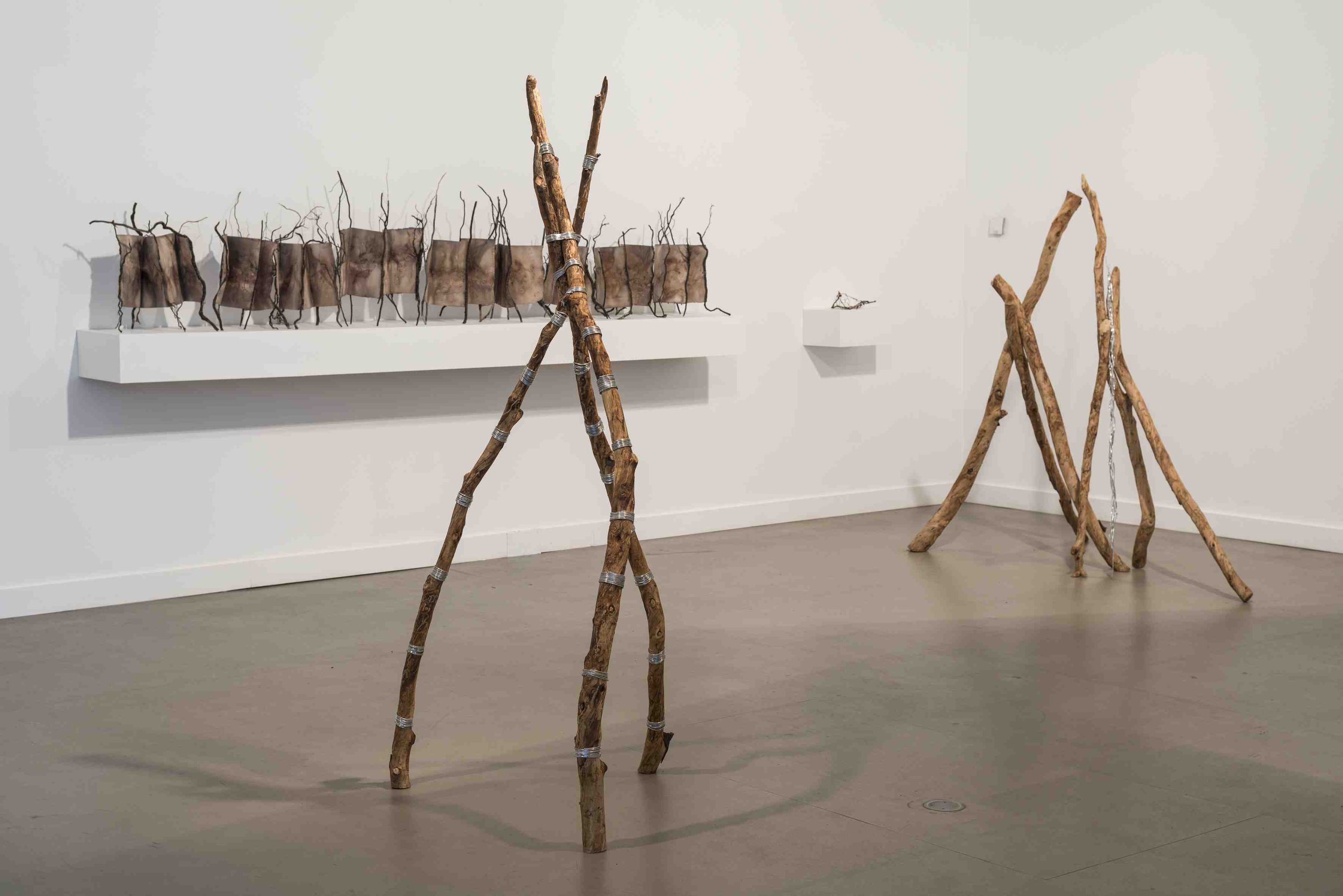 River to River, Interwoven Landscapes. Installation view