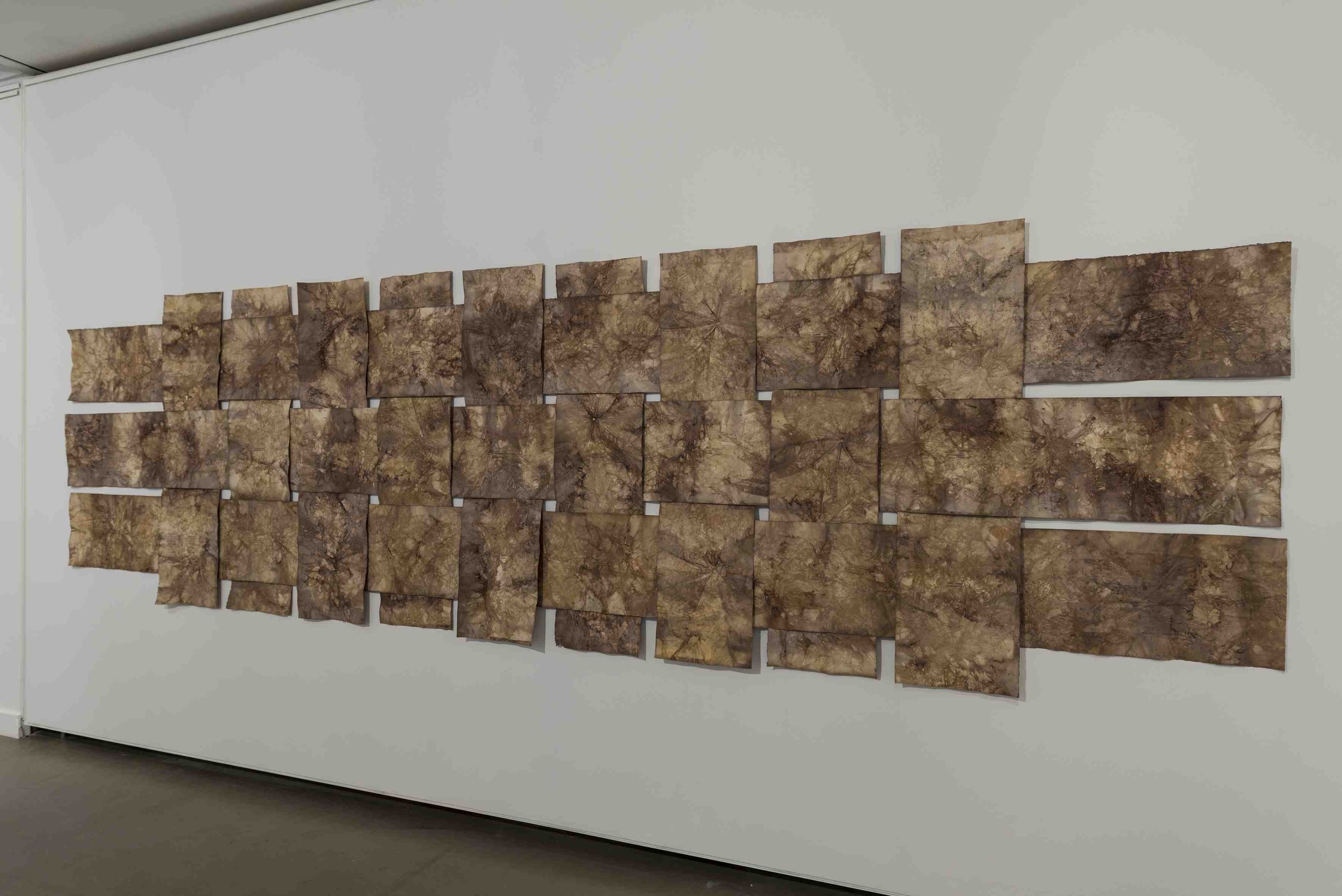Woven Landscape: Time is the substance from which I am made
Dimensions: 5000 x 1490mm
Materials: Canson 400 gsm cold pressed paper, Casurina roots, sisal thread, paper contact printed in Nepean river water with Lachan River Red gum bark substrate, p