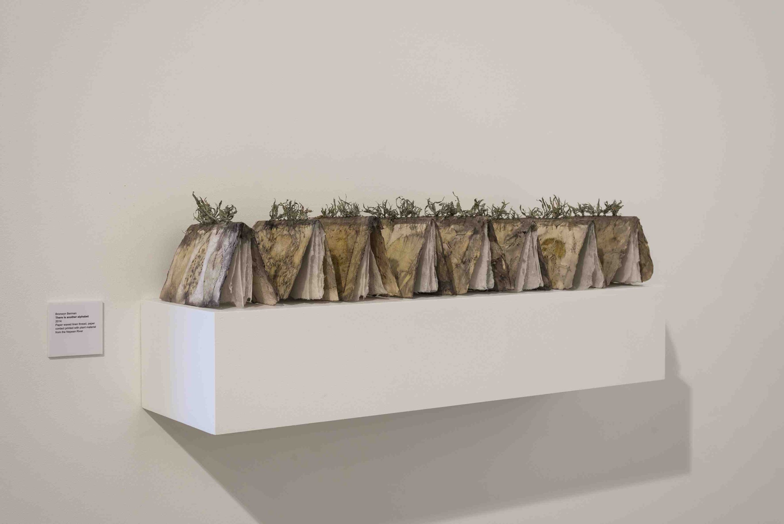 There is Another Alphabet
(variable) 940 x 250 x 210mm each element. Paper, waxed Irish linen thread, lichen.