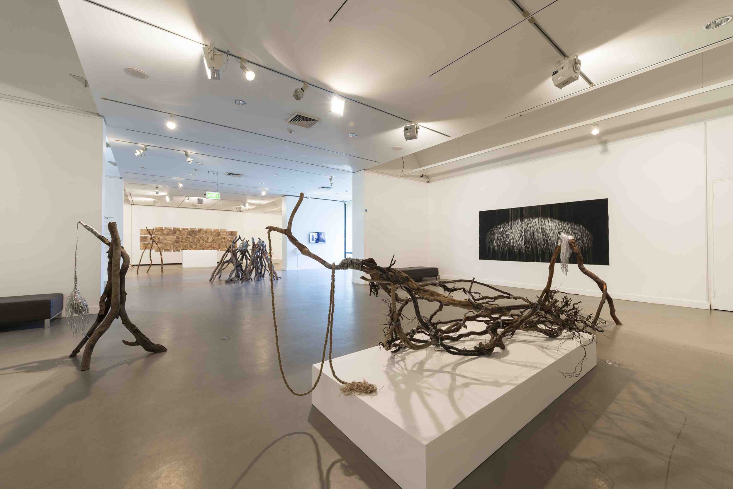 Installation view