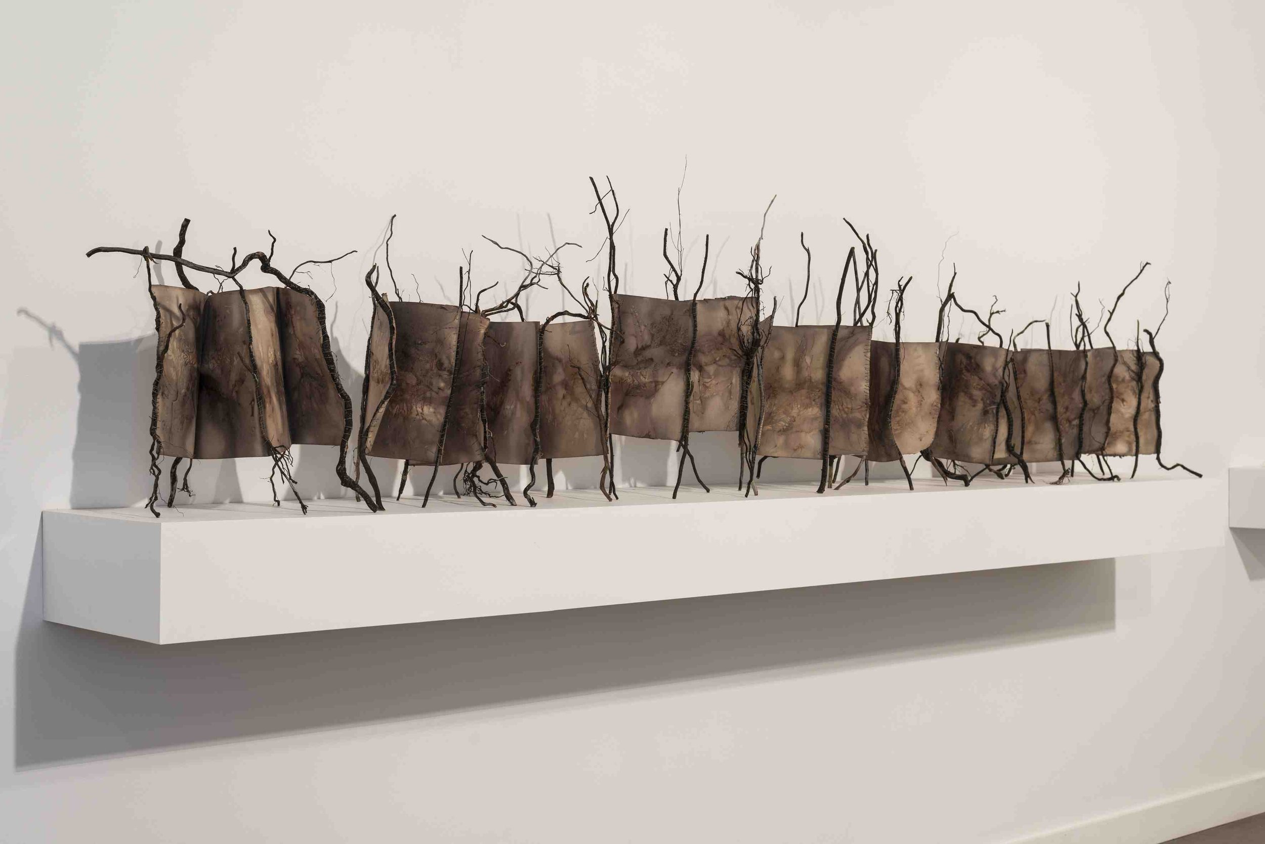 You and I have floated on the stream
Dimensions variable, 3000 (L) x 300 (D) x 60(H)mm each element approx 600 x 400 x 360mm, Canson 400gsm paper, casurina roots, waxed Irish linen thread.