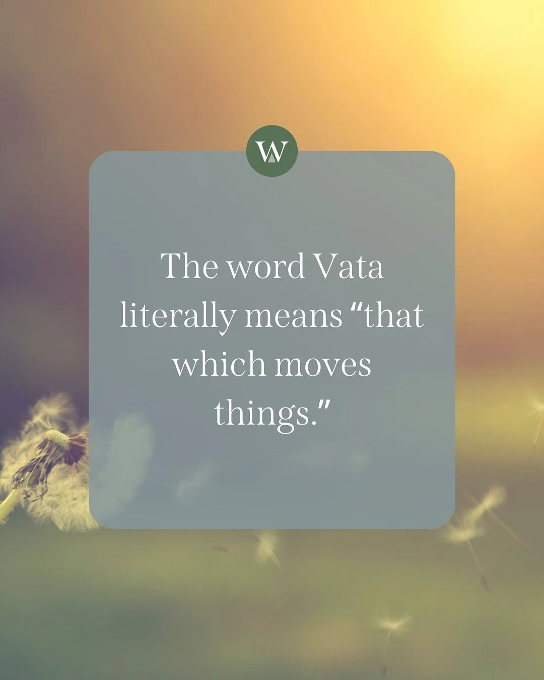 Ever feel like your mind moves as quickly as the wind this time of year?

In Ayurveda, Vata represents movement, creativity, and change, the same qualities that make autumn so alive with transformation. When Vata is balanced, you feel inspired, adapt