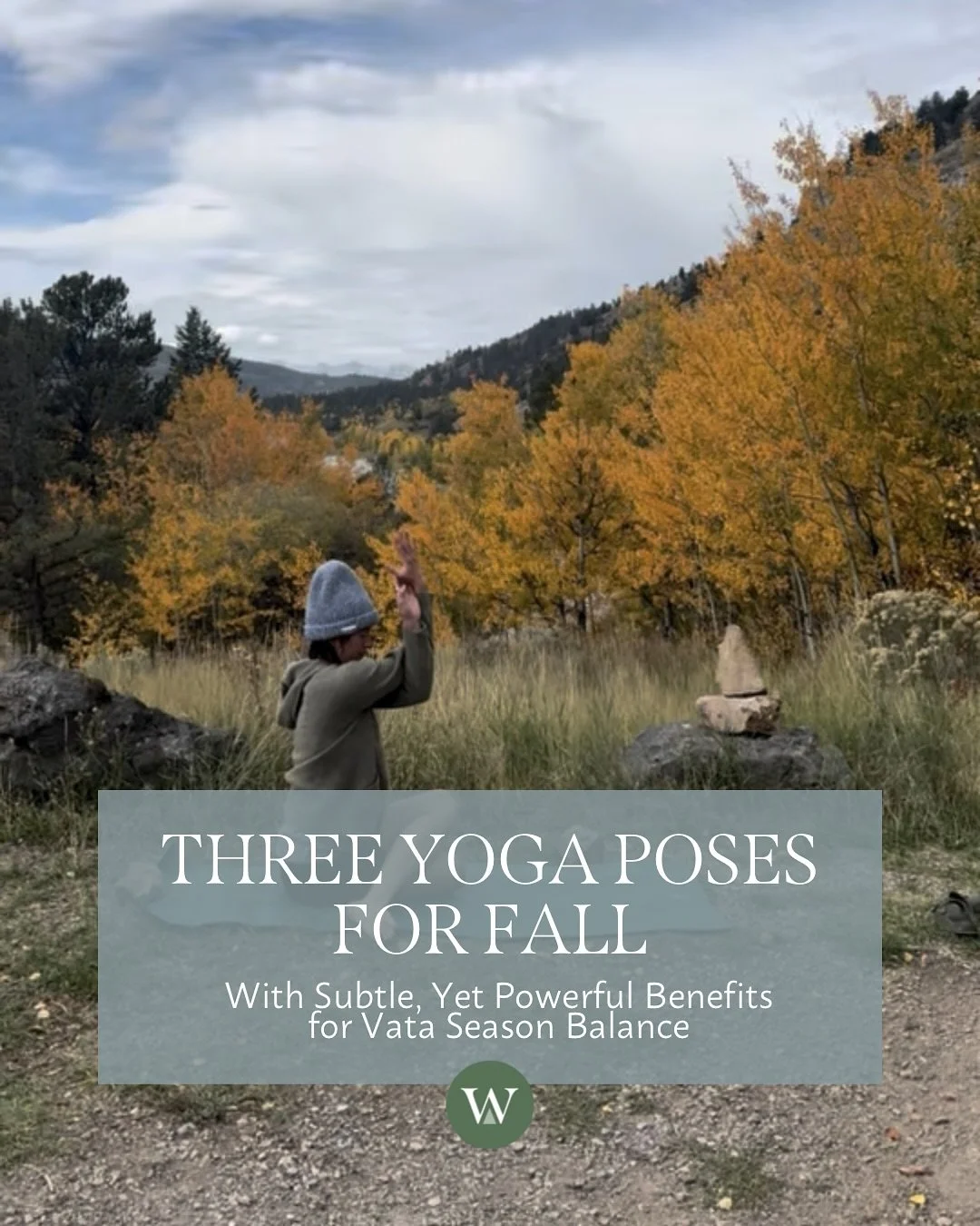 Practice these three yoga poses for better fall health 🍂

The Vata season begins in late fall and continues through winter, typically from the end of September through January. During this time we experience the peak dryness, cold, and mobility of t