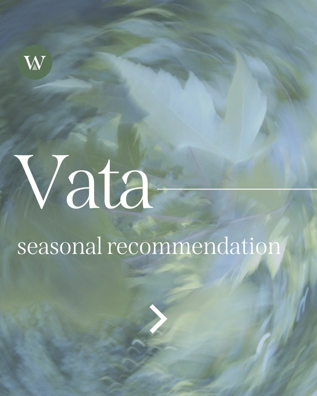 The scattered, windy nature of Vata season can leave us feeling ungrounded and anxious.

What can you do when you feel anxious about things you can't control?
🍂Ground through your senses: Name 5 things you can see, 4 you can touch, 3 you can hear, 2