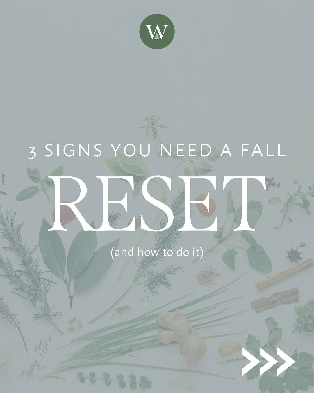 3 signs your body is craving a fall reset + how to do it:

💨Irregular Digestion
Vata governs movement and air, so when it&rsquo;s imbalanced, digestion becomes erratic (bloating, constipation, gas). Our Gut Reset restores warmth and rhythm through g