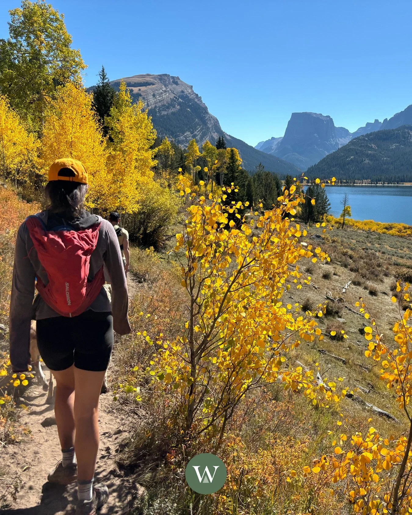 Vata season is full of beauty&hellip; and full of movement🍃🍂 If you&rsquo;re feeling a bit untethered, the season might be the reason.

Signs your Vata is elevated:
&bull; irregular digestion (gas, bloating, constipation)
&bull; feeling scattered a