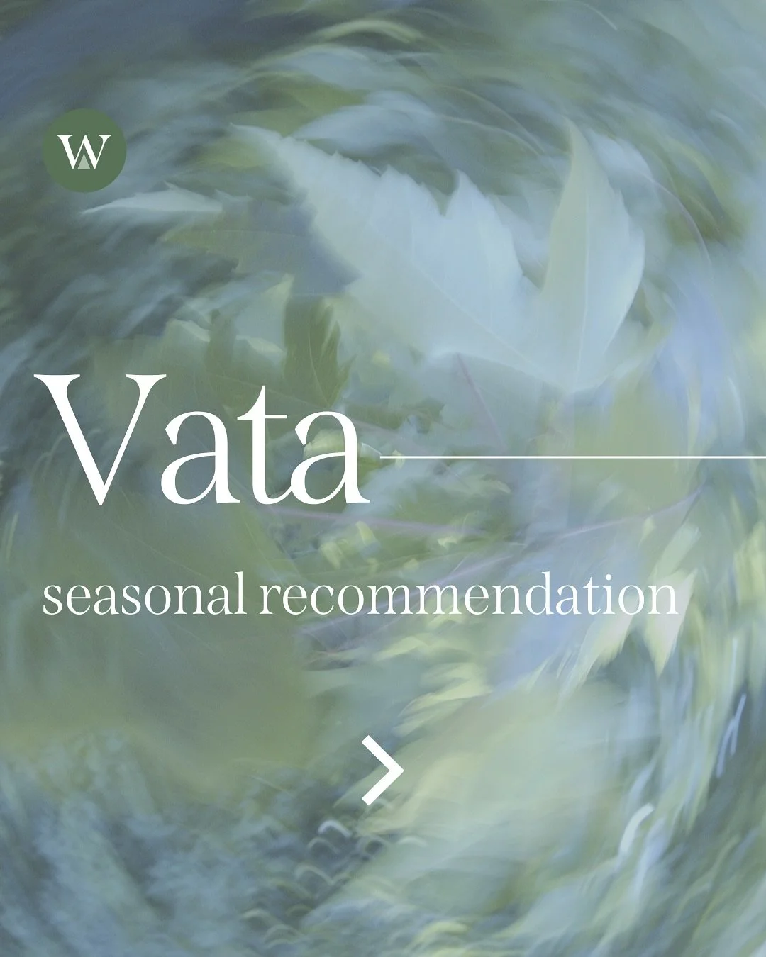 As the weather turns colder, drier, and windier, Vata rises outside and within, and our bodies ask for grounding and nourishment in return.

✨ Embrace the sweet taste:
Dates, sweet potatoes, oats, almonds, and ghee help ground the nervous system and 