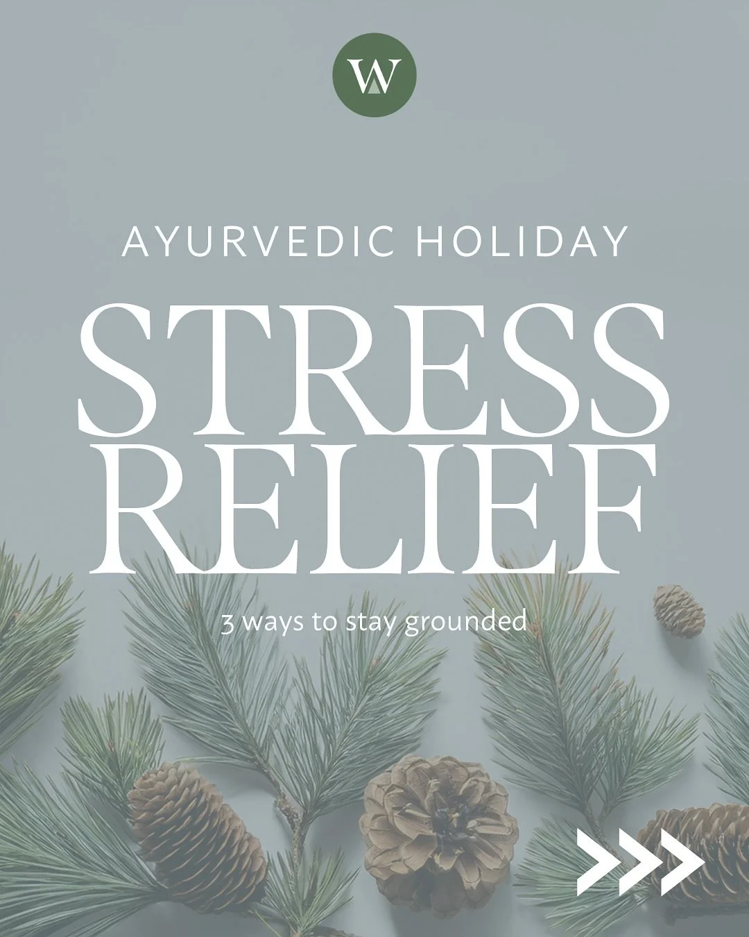 The holidays can be joyful and also overwhelming.

These 3 simple practices can help bring your nervous system back into balance this season. 

✨ Tune into your senses
Soft light, warm foods, gentle sounds, grounding scents, and comforting touch calm