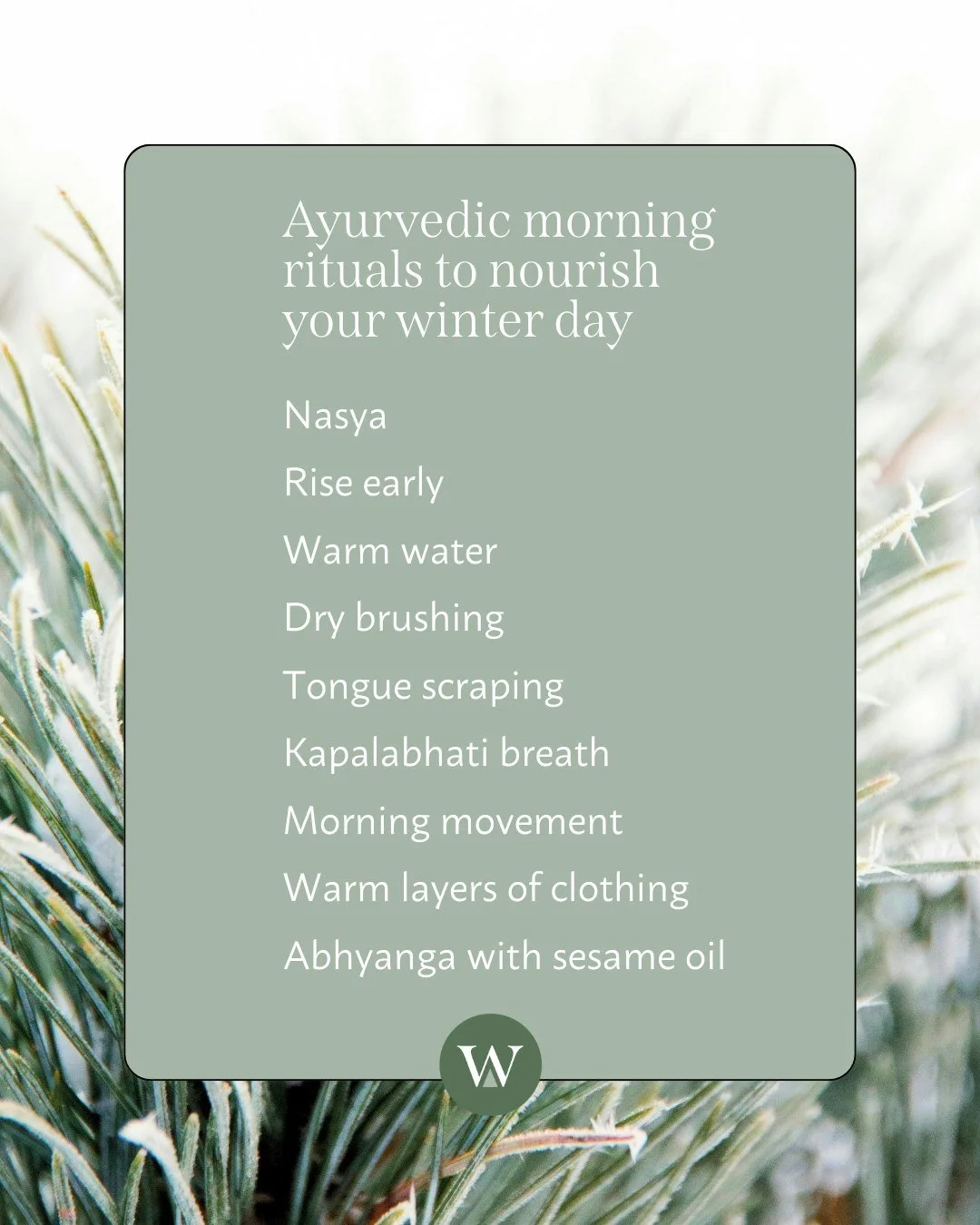 Ayurvedic morning rituals to nourish your winter day ❄️

These simple practices will support your mind + body in keeping warm as they set you up for the chilly day ahead.

#ayurveda #kapha