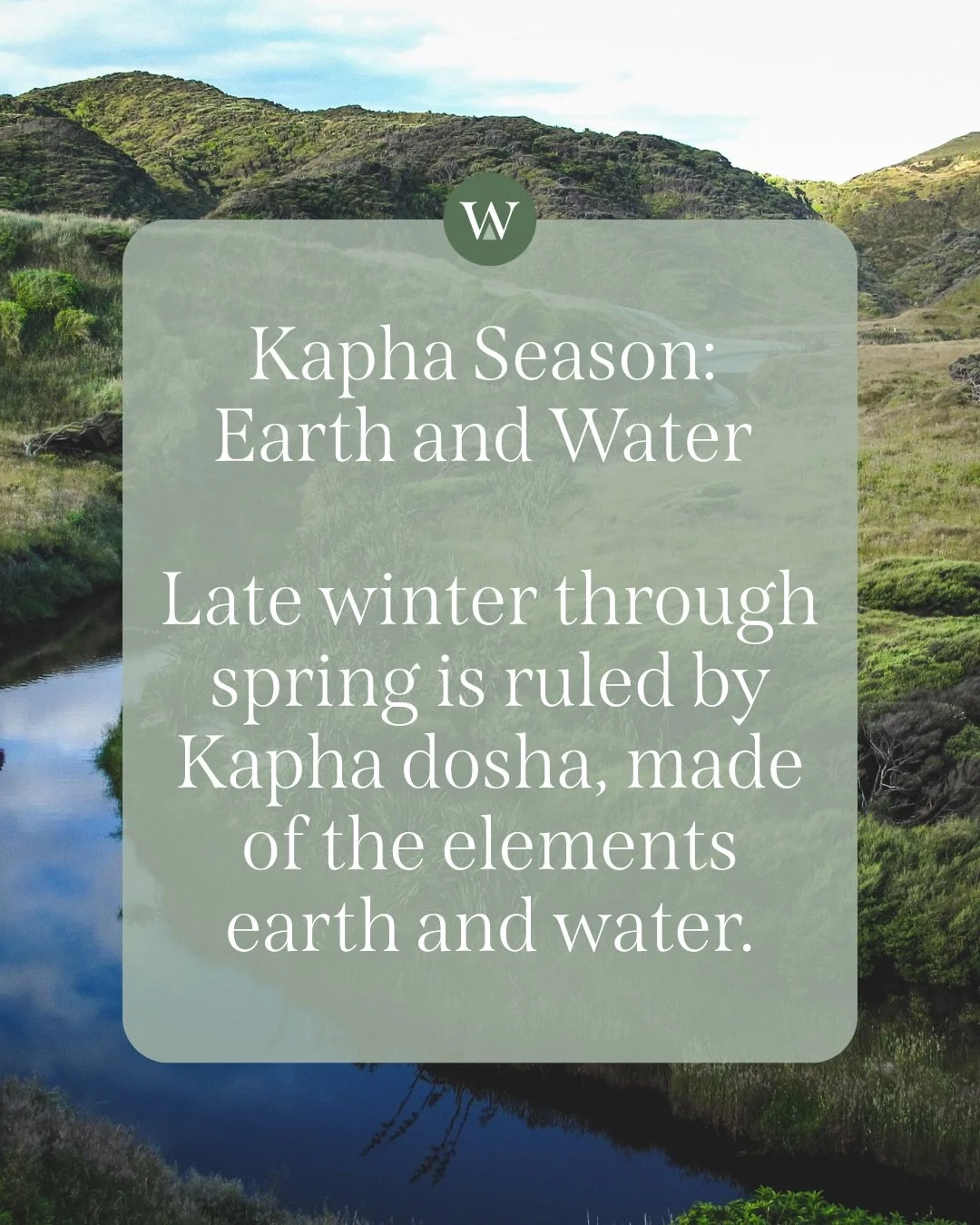 Kapha season is ruled by earth and water- beautiful elements that give us stability, nourishment, and a sense of being held. But when these qualities accumulate, they can show up in the body as heaviness, sluggish digestion, congestion, water retenti