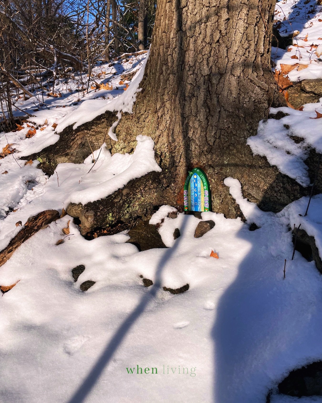 In Ayurveda, this time of year is ruled by earth + water, which means nature is holding onto heaviness and moisture. 

We often feel this too in the mind and body.

Kapha energy can show up in the body as:
&bull; sluggishness
&bull; sinus congestion
