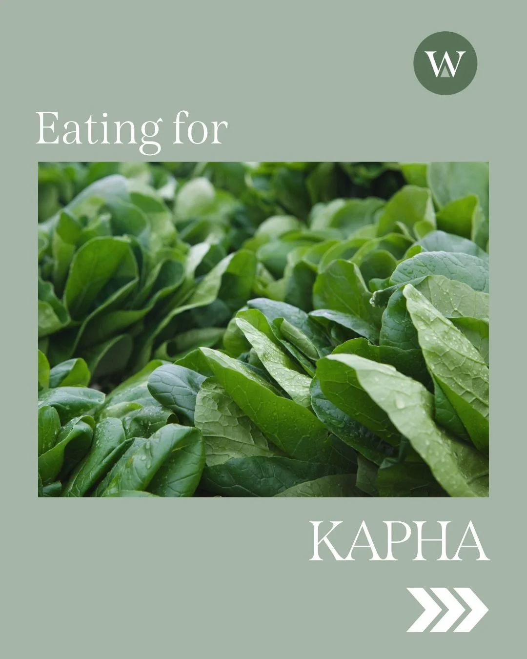 Kapha season is naturally heavy, slow, and moist, so Ayurveda recommends foods that are warming, energizing, and stimulating to keep your digestion and immunity strong.

🌱Leafy Greens (like kale, arugula, spinach)
Greens are light, bitter, and clean
