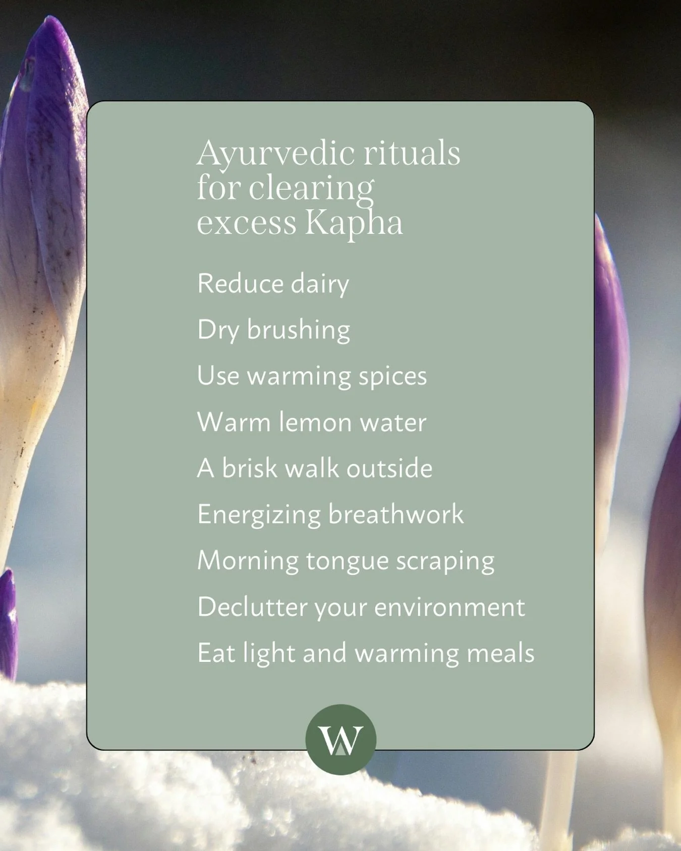 Ayurvedic rituals to clear excess Kapha✨

These simple practices can support your mind + body in the transition from late winter to early spring when everything feels damp, cold, slow and heavy.

#ayurveda #kapha