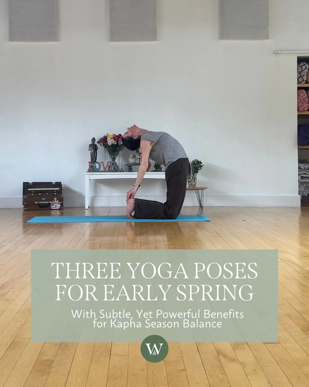 Practice these three yoga poses for better Kapha season health 🔽

Kapha season spans late winter through spring, typically from mid January through mid May. The earth and water elements are most predominant during this time, bringing with them a pea