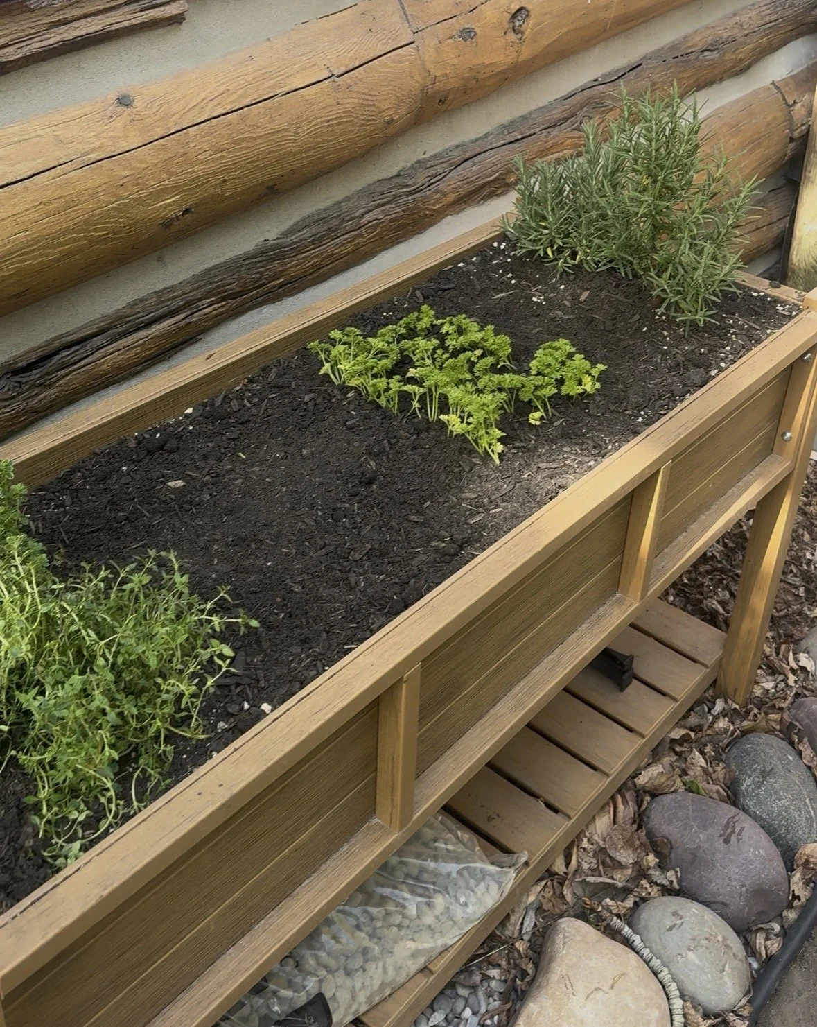 Your Pitta Season Herb and Spice Guide: What to Grow, Stock, and Use All Summer