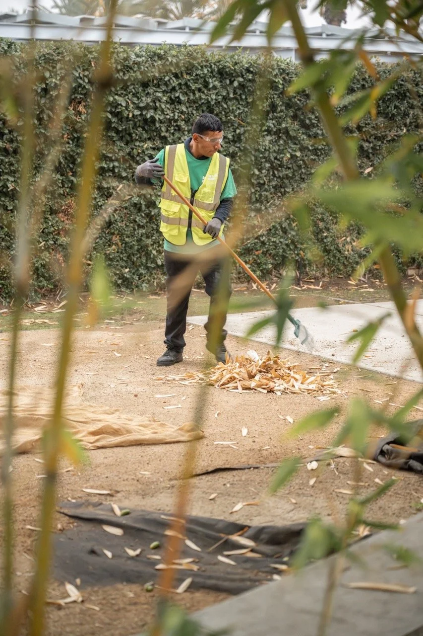 Z72_1515-21 Large.jpeg