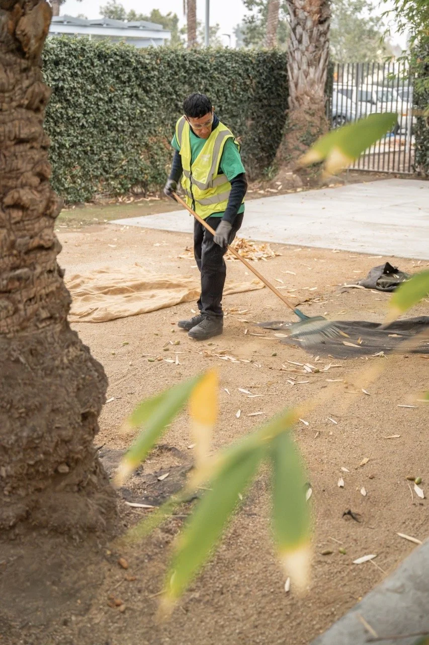 Z72_1530-36 Large.jpeg