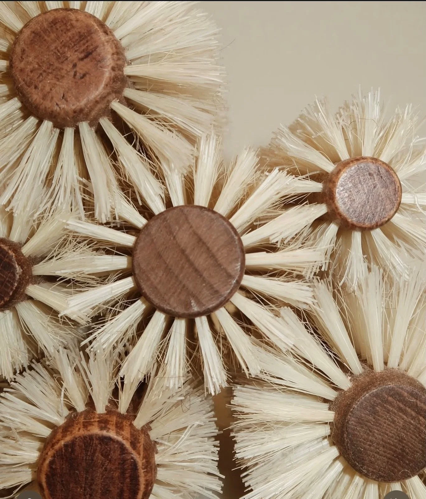 I reach for my Ibiza round brush every single time&mdash;and here&rsquo;s why 👇🏼

✨ Creates smooth, shiny blowouts without pulling
✨ Gentle on the hair (less breakage = healthier ends)
✨ Helps your style last longer between visits

The tools I use 