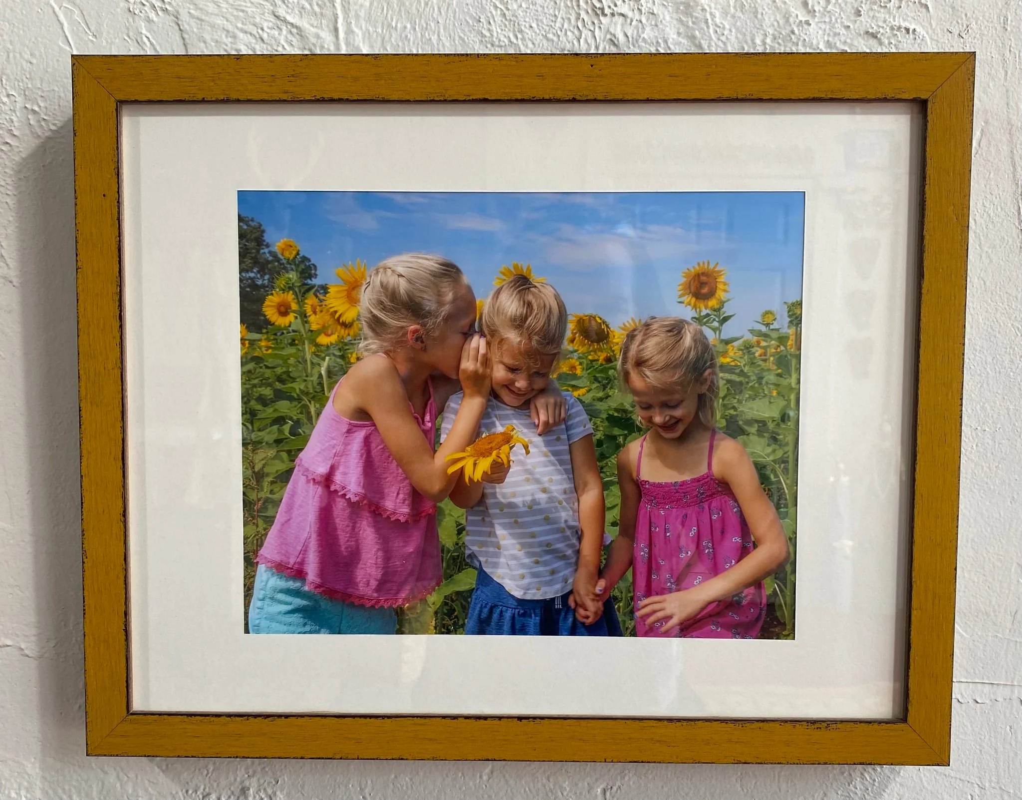 This week’s #FavFrameFriday features the sweetest photo of a customer’s grandchildren. The soft, creamy mat beautifully complements the girls’ skin tones, while the rustic gold wood frame adds warmth and brings out the rich, golden hues of the sunflo