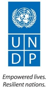 image001 UNDP.jpg