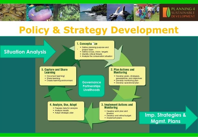Policy & Strategy Development_001.jpg