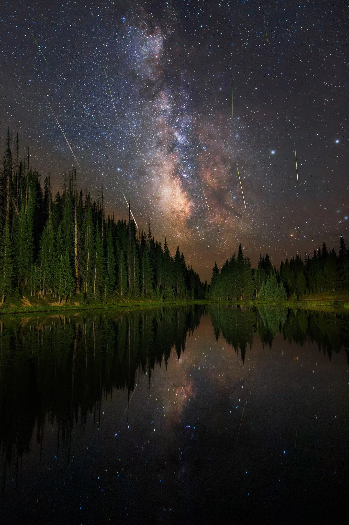 Lake Irene Perseid Meteor Shower