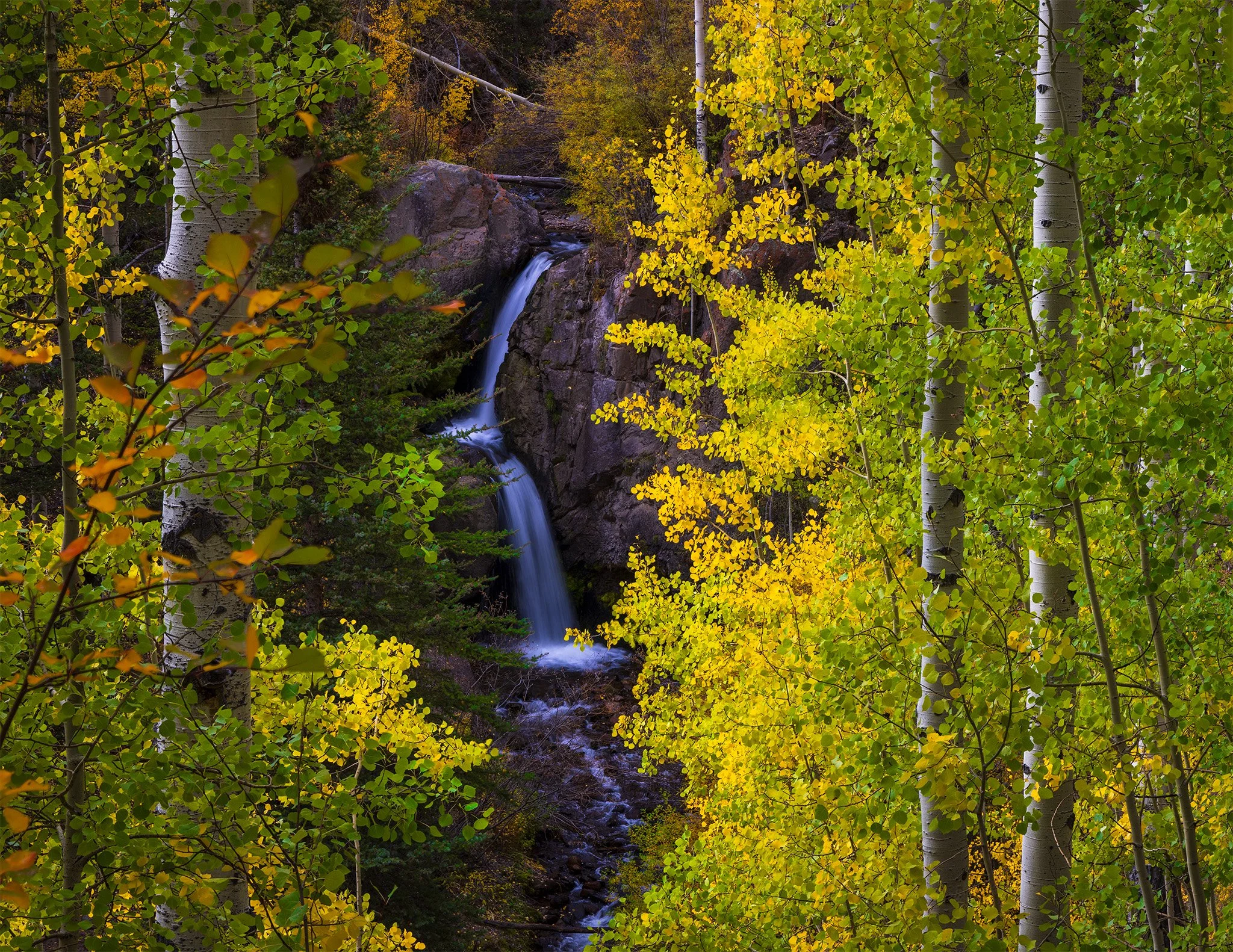 A waterfall framed by yellow and green aspens at peak fall color in the San Juan Mountains, Colorado.