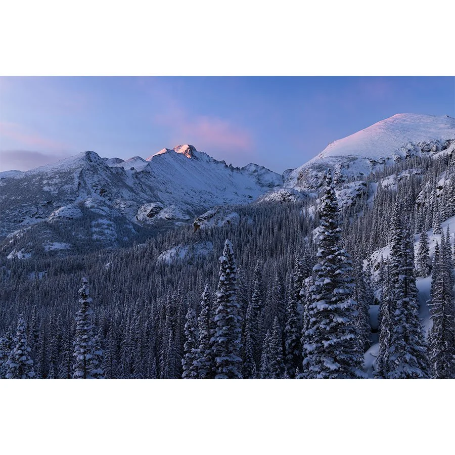 Snow-covered Longs Peak in Rocky Mountain National Park at sunrise, with alpine trees and soft pink clouds in the sky.