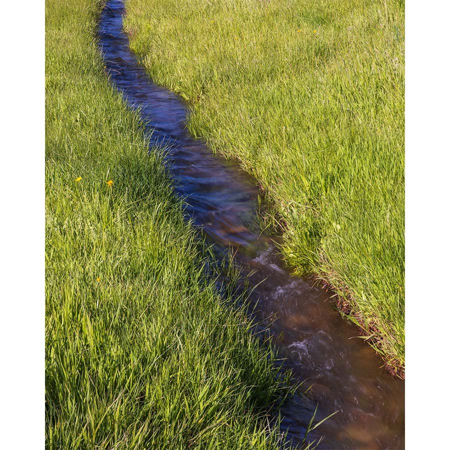 A small seasonal creek winds through a lush green meadow under spring sunlight in Boulder, Colorado.