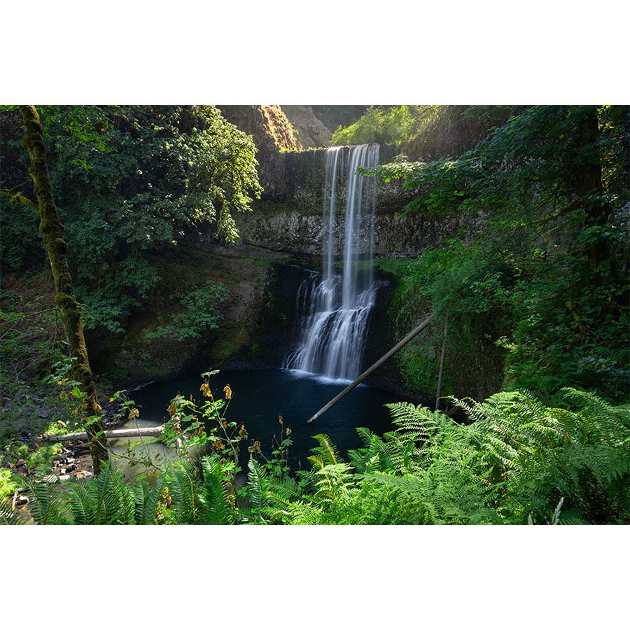 A lush green forest surrounds a tall two-tiered waterfall cascading into a dark, serene pool at Silver Falls State Park in Oregon.