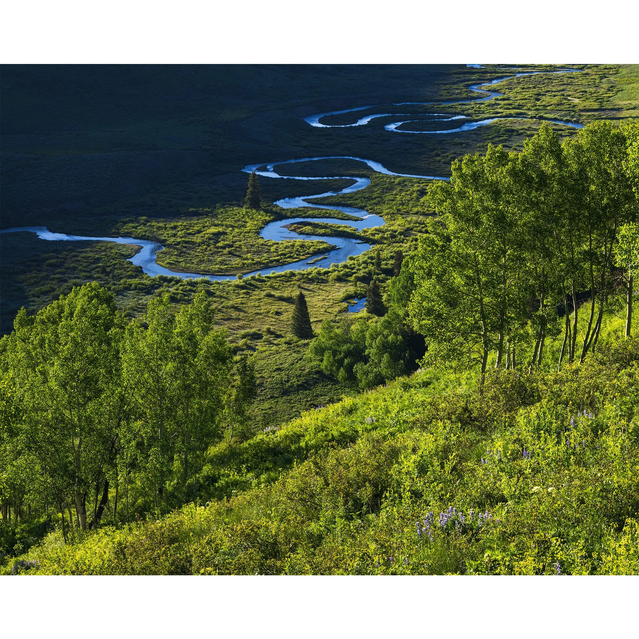 The East River meandering through a green glacial valley near Crested Butte, Colorado, in early summer.