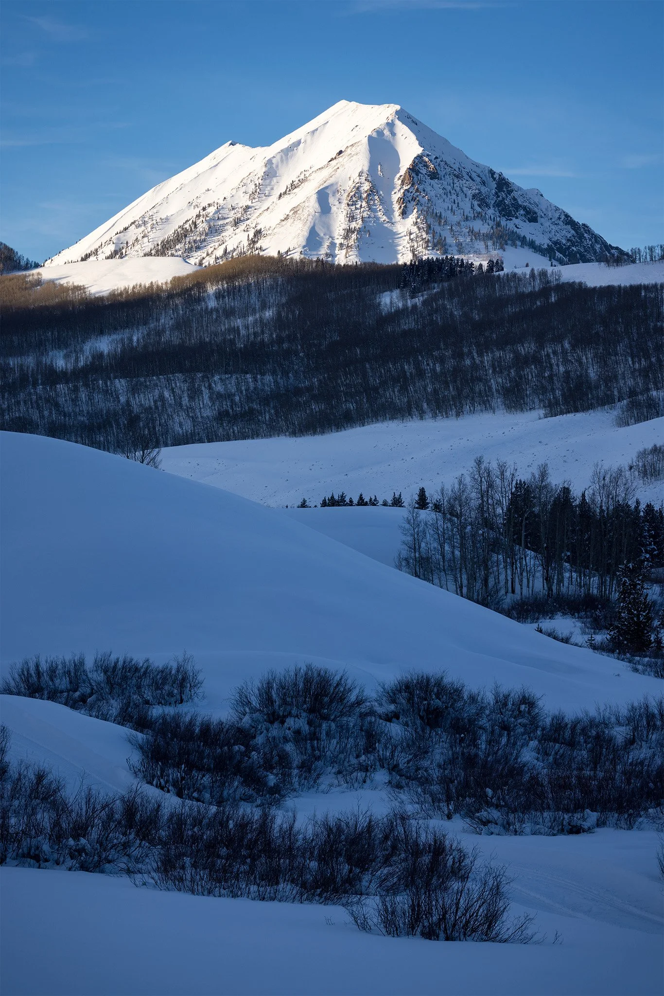Winter in the Elk Mountains