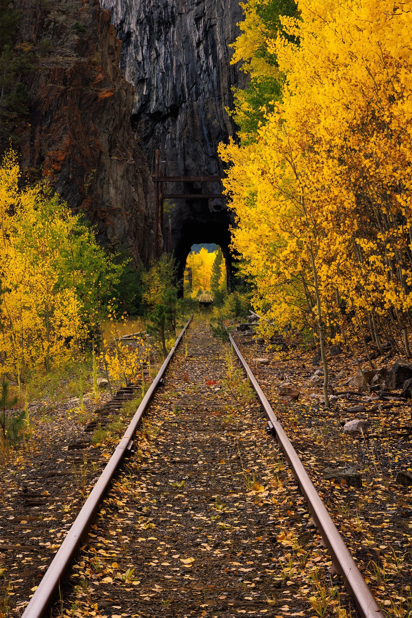 Colorado-Autumn-Nature-Photography.jpg