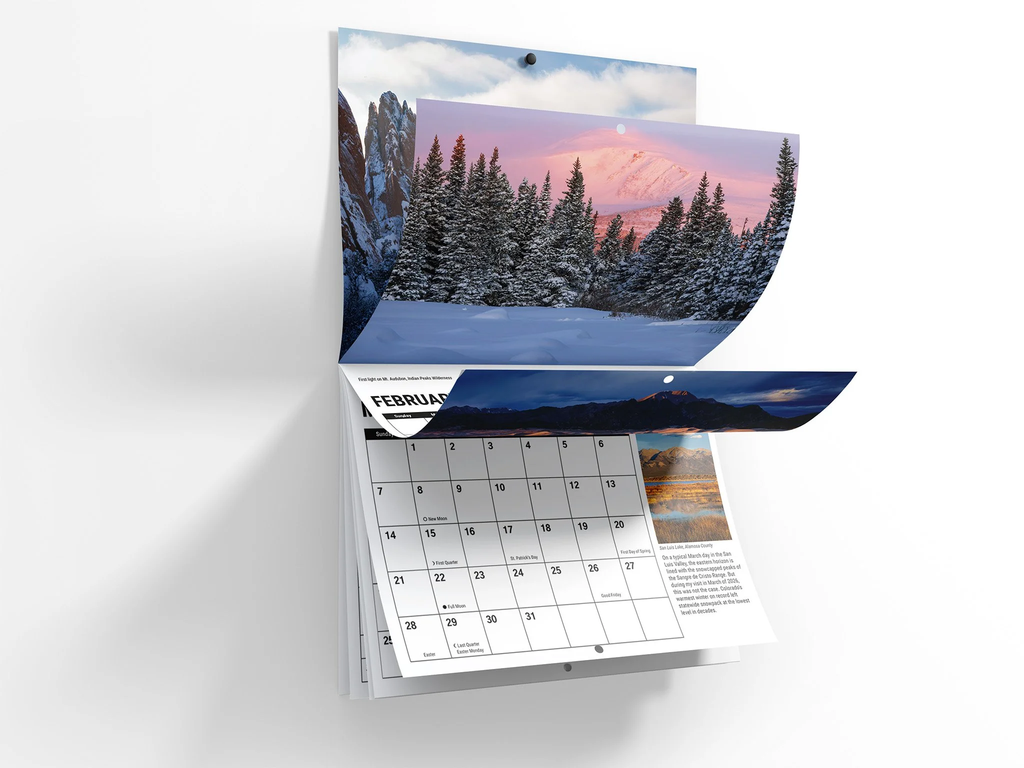 Calendar Mockup 4.jpg
