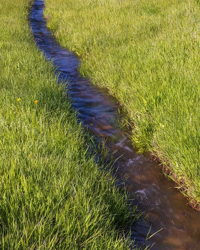 Flowing Creek in Spring