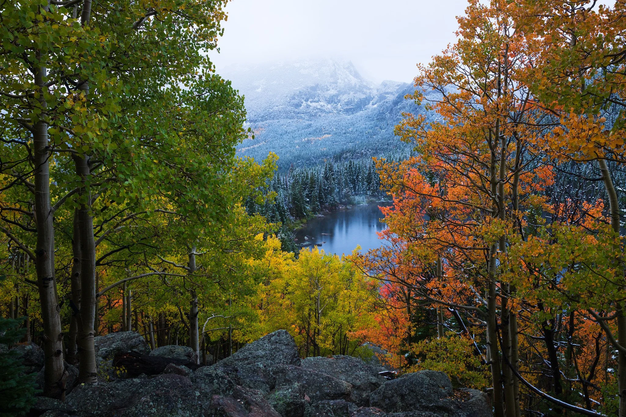 COLORADO AUTUMN COLOR