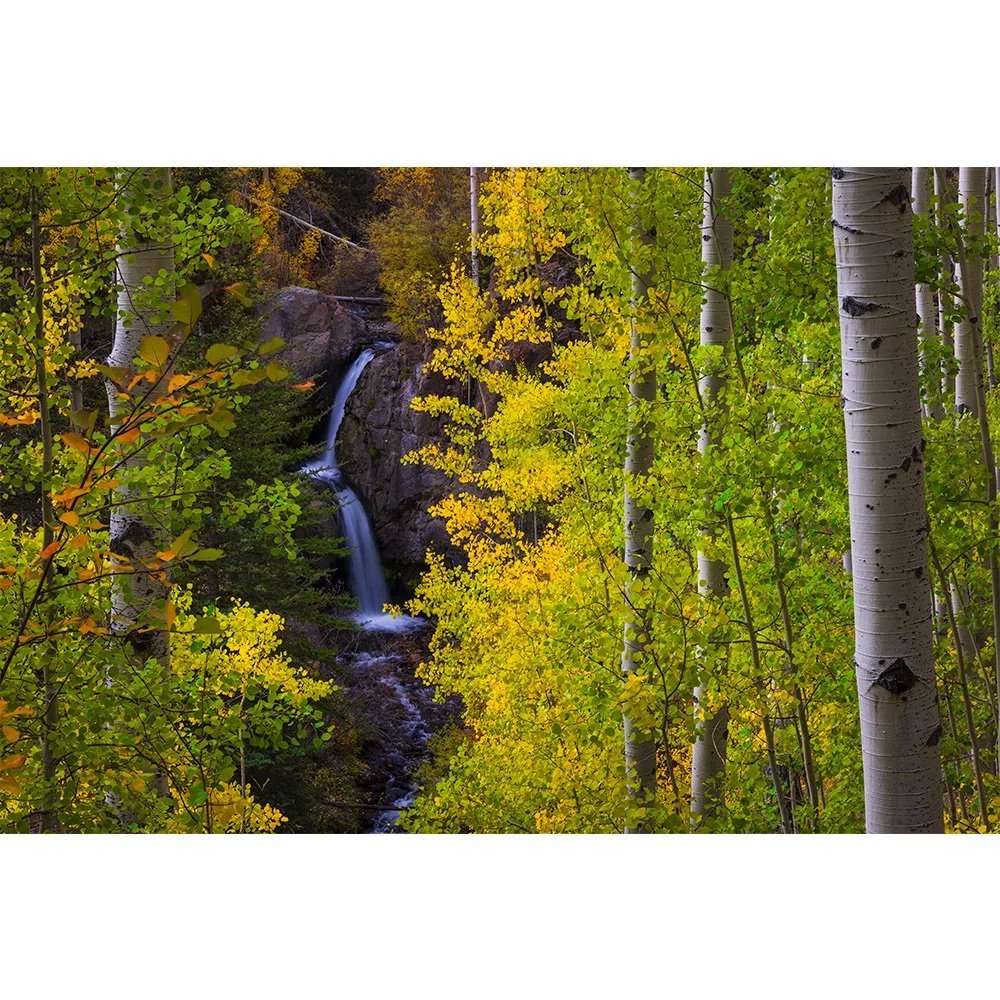 Waterfall cascading through golden aspen trees in early autumn in the San Juan Mountains of Colorado, surrounded by green and yellow foliage.