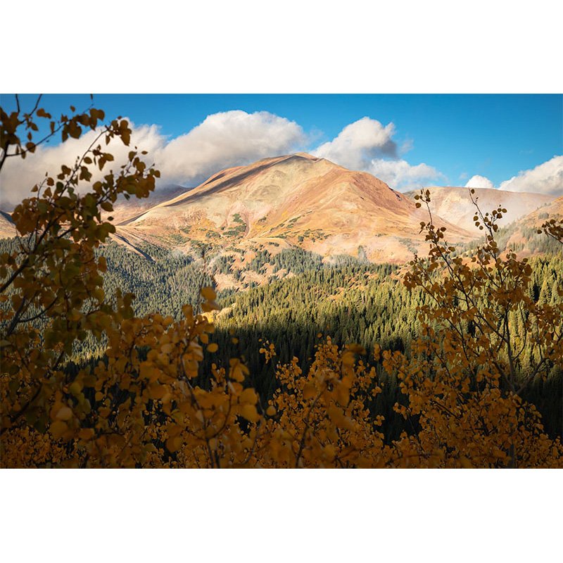 Golden aspen leaves frame a sunlit mountain peak in Colorado during fall, with pine forests and dramatic clouds in the background.