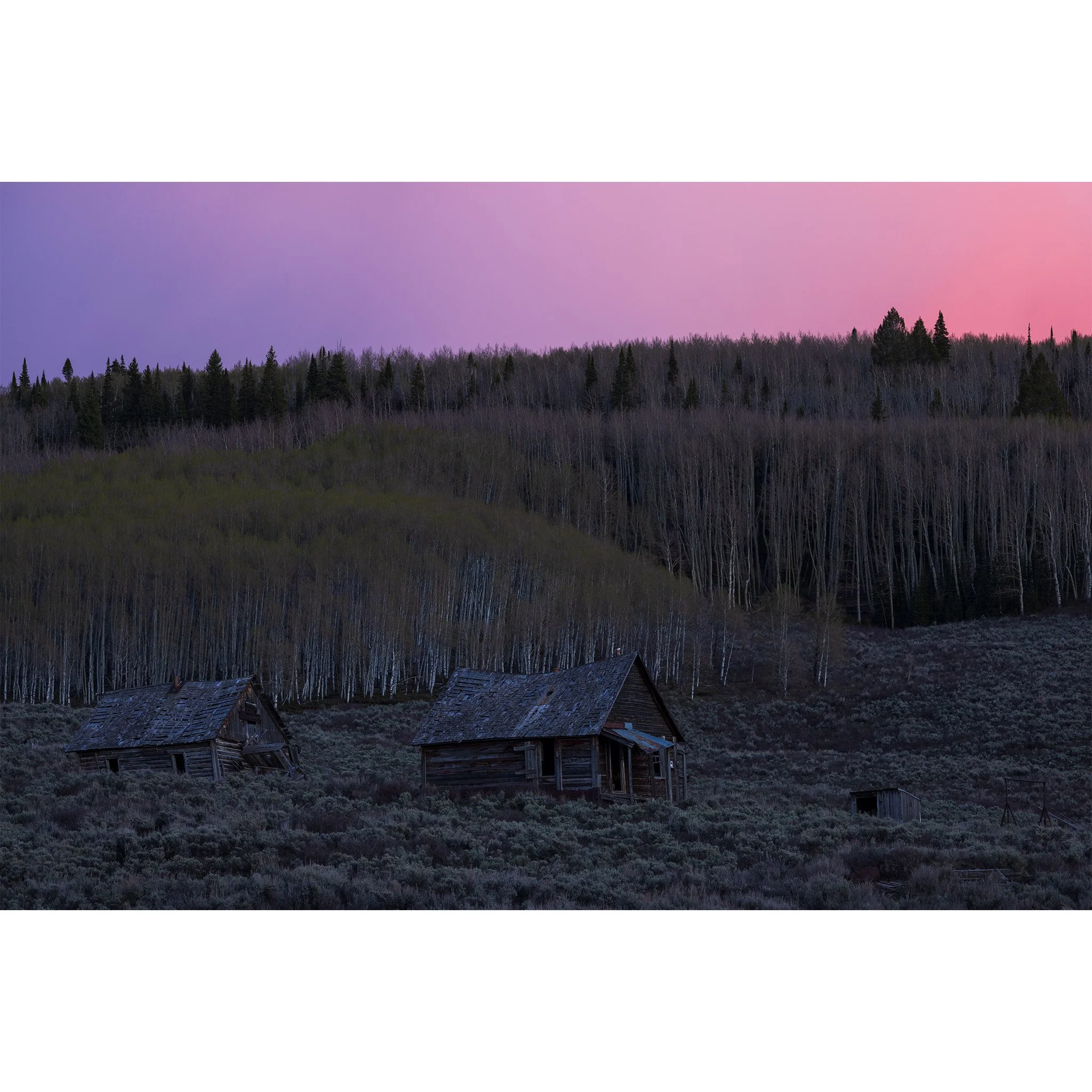 Abandoned wooden buildings in a sagebrush meadow at twilight below budding aspen, Ohio Creek Valley, Colorado.