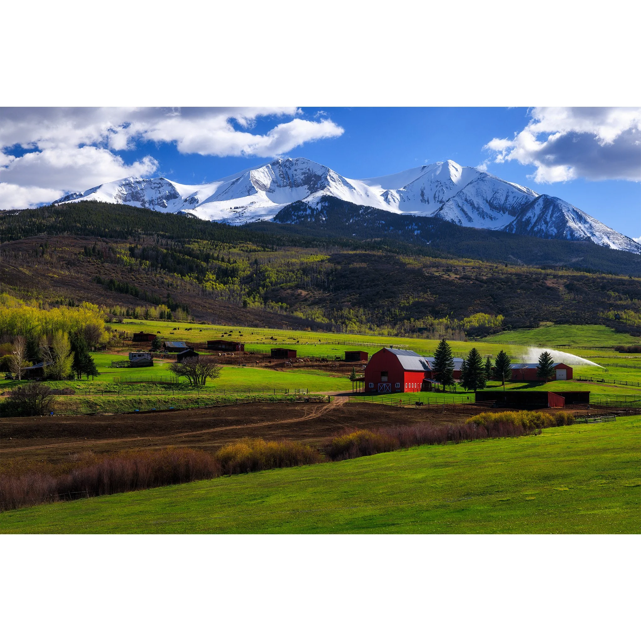 Red barn and green ranch pastures below snow-capped Mount Sopris in spring near Carbondale, Colorado.